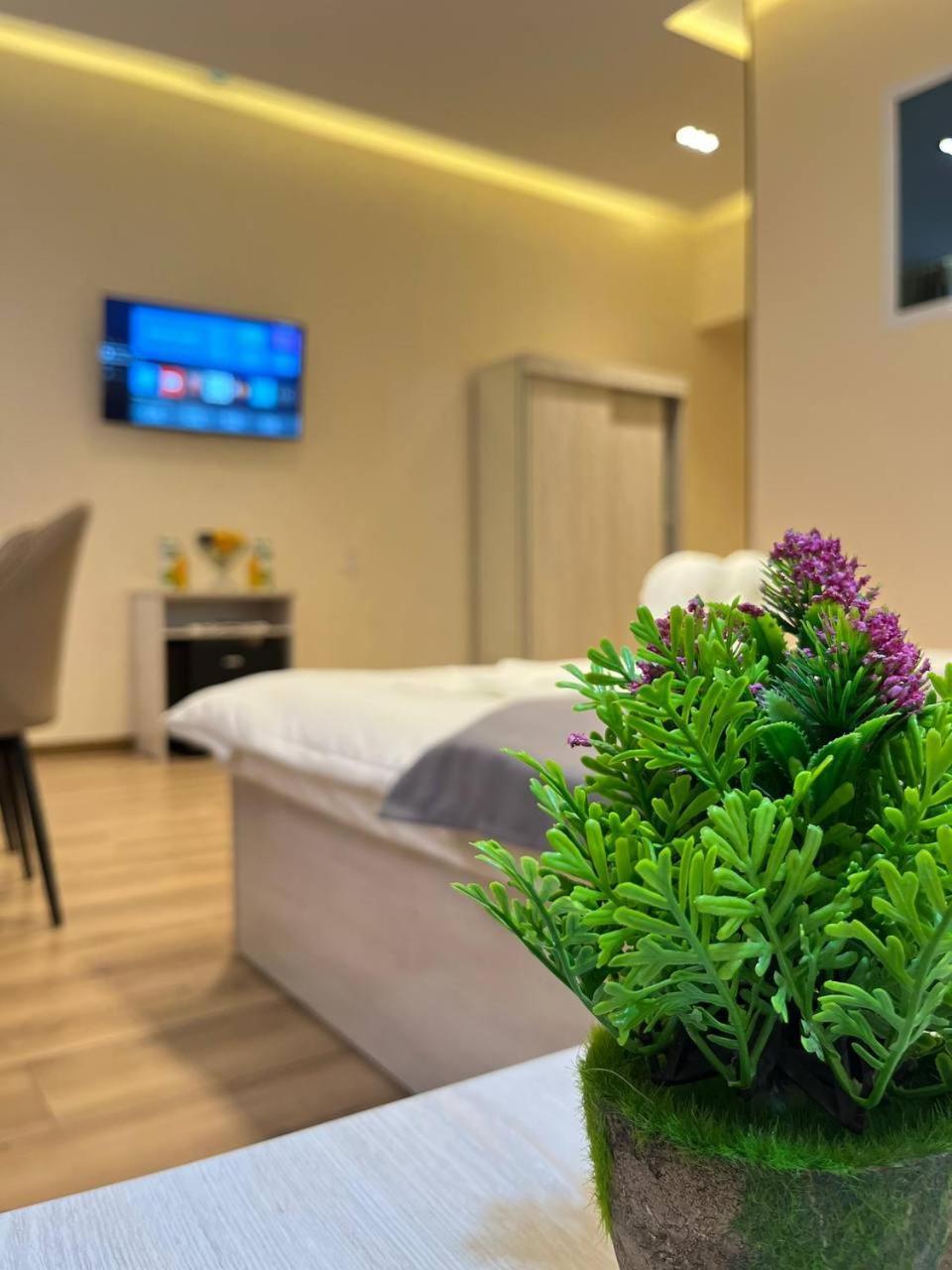 Aks Hotel 塔什干 外观 照片